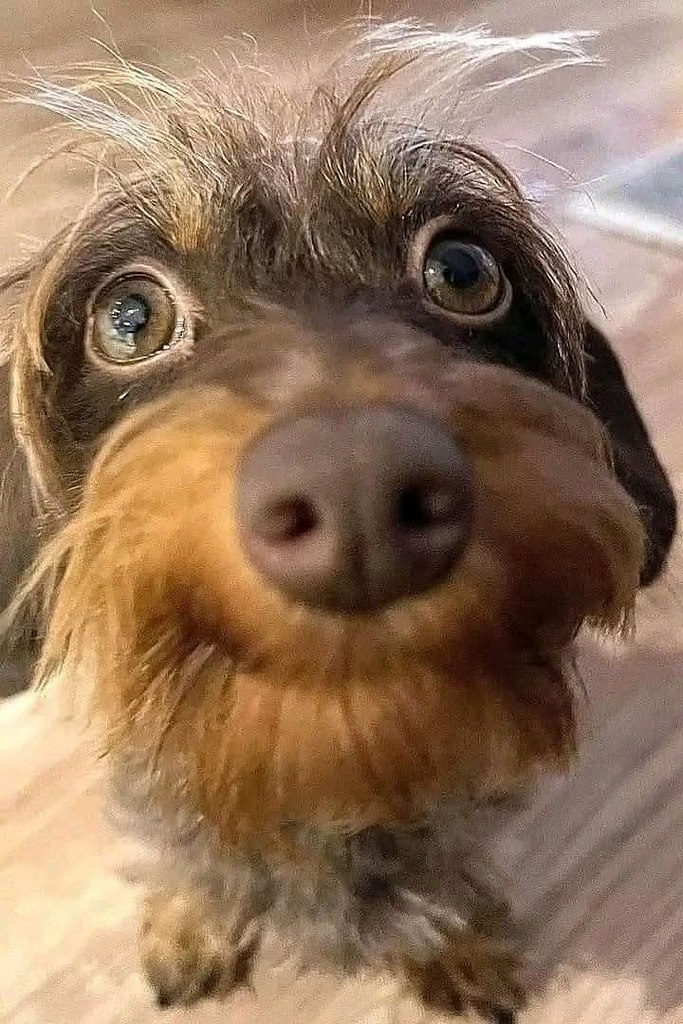 :) !   ! )))