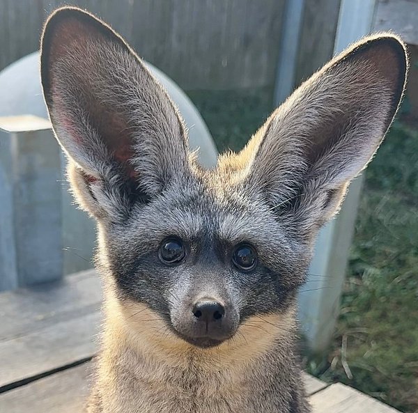 ������� ������� ����: ����� ���-�� ���� ������ �� ������� ���� � ������, ������� �� ��� � ��������� ... - 2