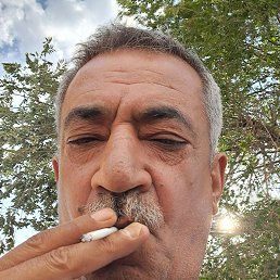 , 44, 