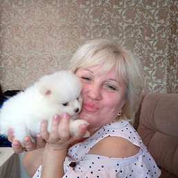 �����, �������