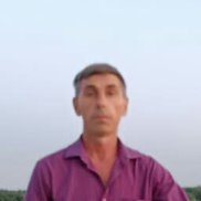 , 51 , 