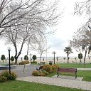  Nihat, , 56  -  26  2023    