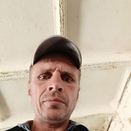 , 41, 