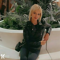 �����, 36 ���, ������