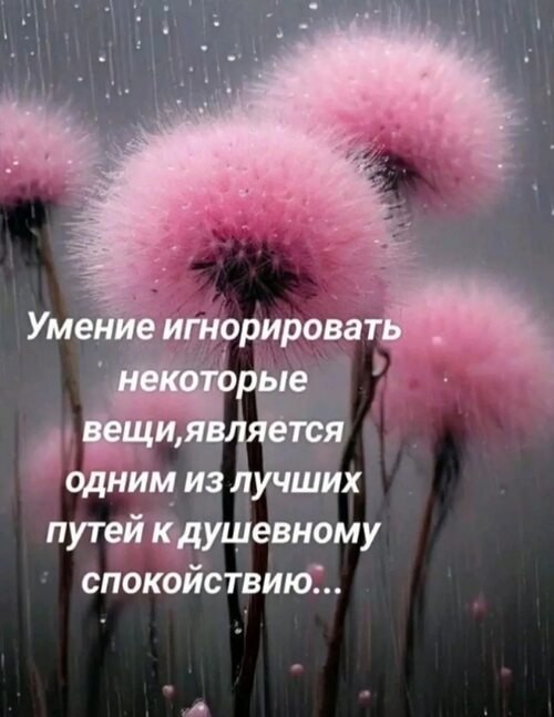   ! - 29  2025  14:12