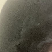 , 43 , -