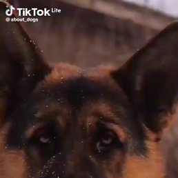 ���� ��������, ����, 42 ���� - ��������� 31 ������� 2023