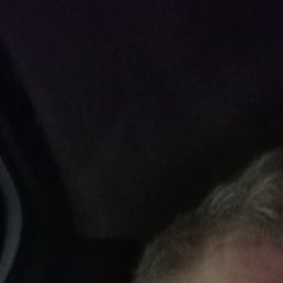 ���������, ������ ��������, 65 ���