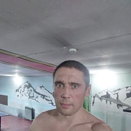  , , 45  -  26  2024