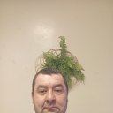 ���� ����, �����������, 43 ���� - ��������� 22 ����� 2024 � ������ ���� ����������