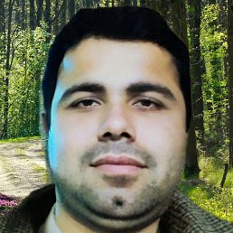 �����, ������, 37 ���