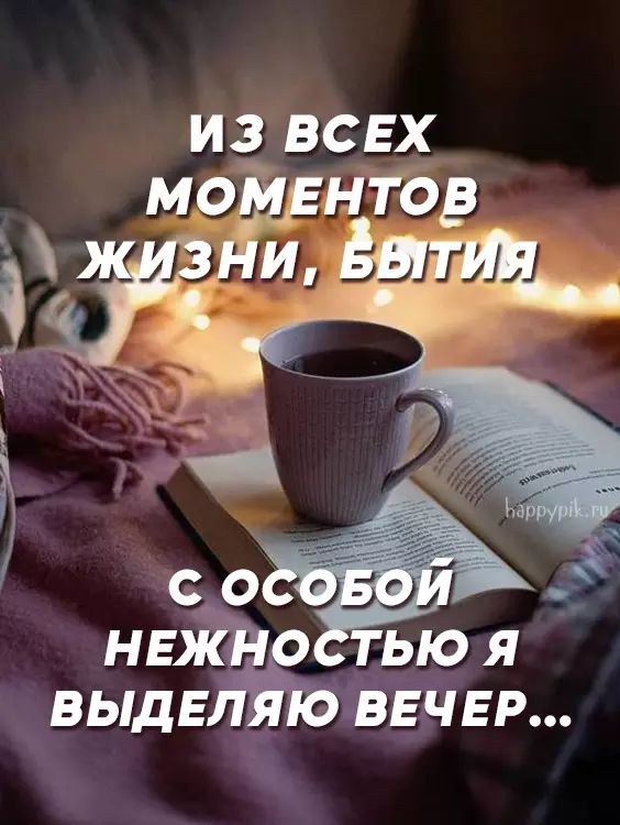   ! - 24  2024  17:49