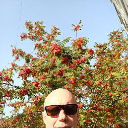 , 59, 