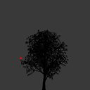  Constantine, , 41  -  19  2025    