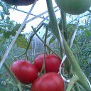 ���� ����, �����, 48 ��� - ��������� 10 ������� 2025 � ������ ������ ��������