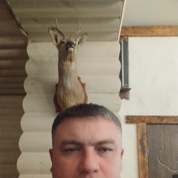 , 41, 