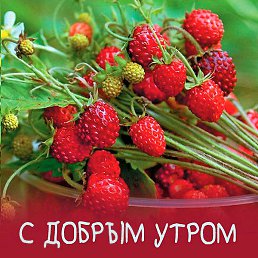 ������, ������, 56 ���