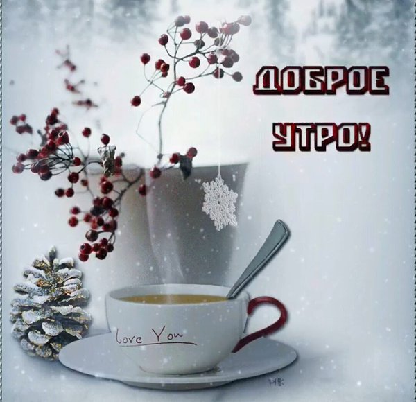 ***Victoria Viktorovna*** - 15  2023  04:08 - 2