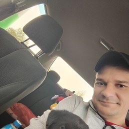 ���� �����, �����, 41 ��� - ��������� 14 ������ 2024