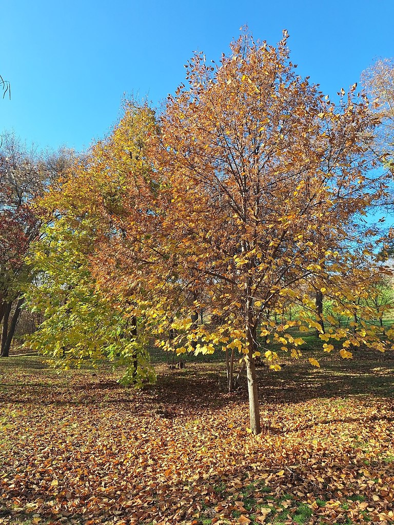 o��o�pa� - 2