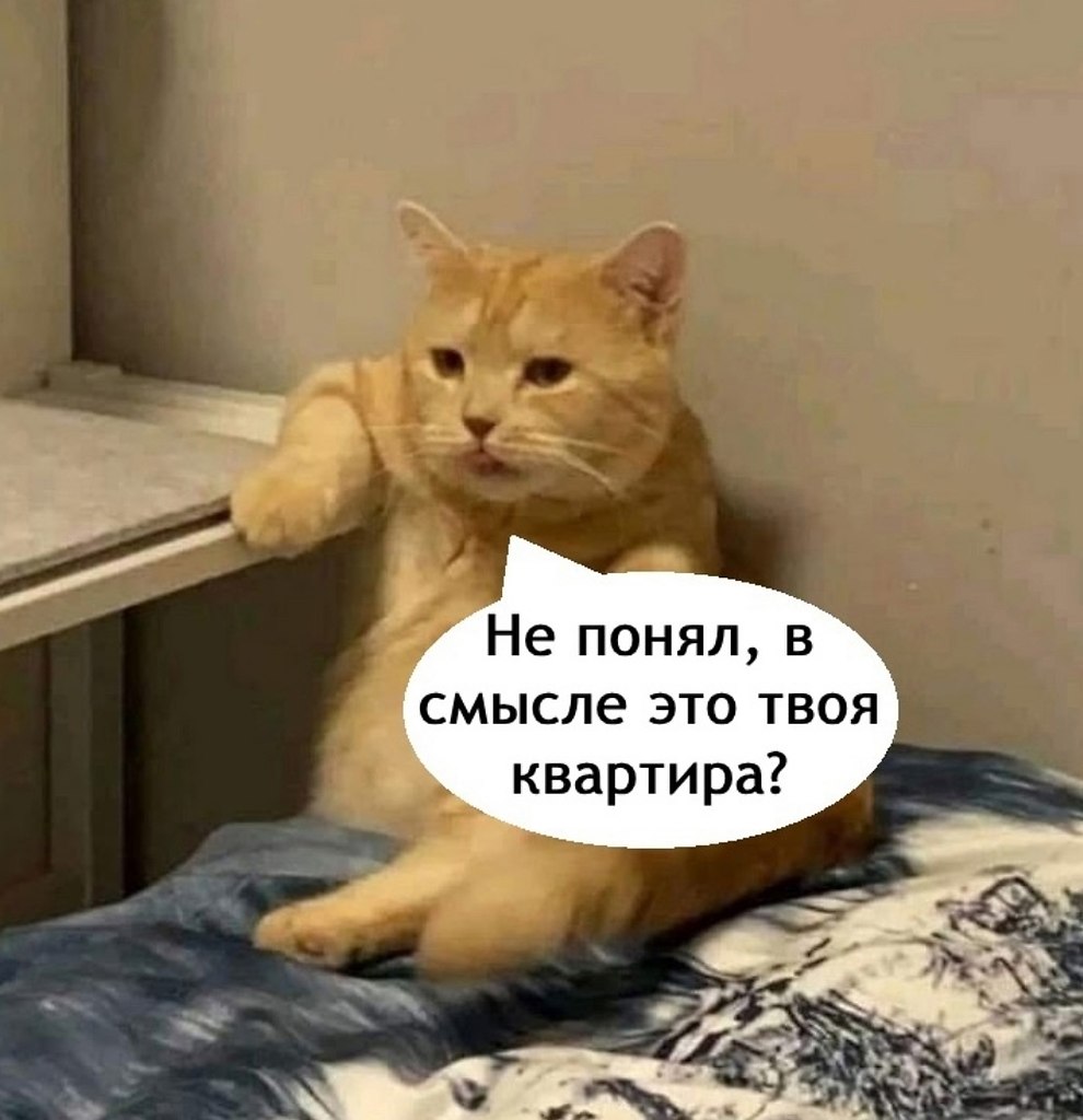   - 28  2025  15:11