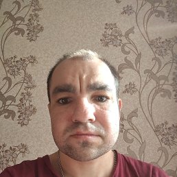 , 29,  