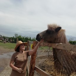 , 57, 