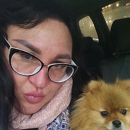 ����, �����������, 50 ���