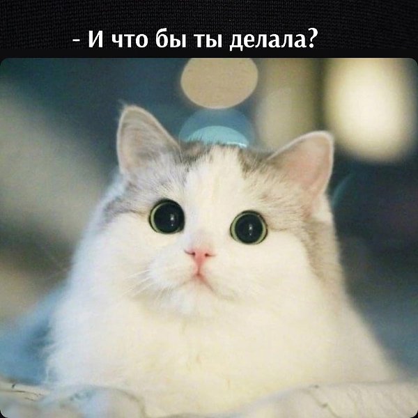       - 3  2025  17:30 - 3