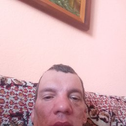 , 42, 
