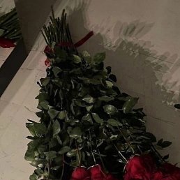 ����, ���������, 52 ����