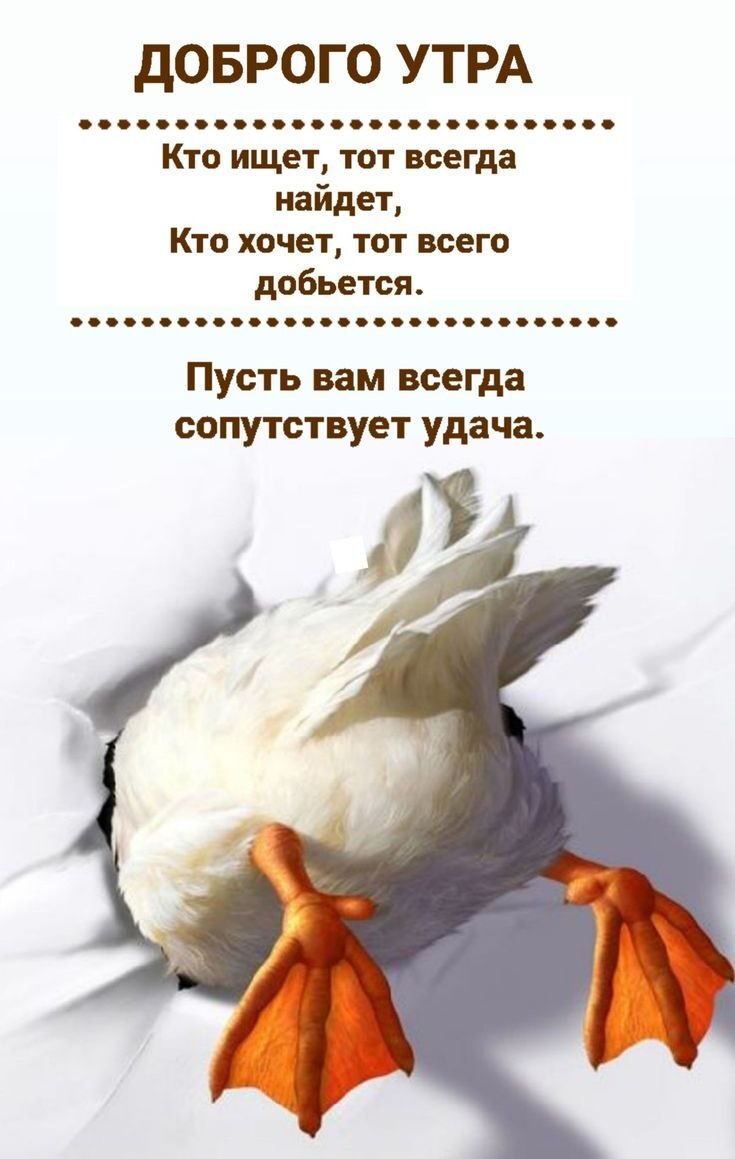 ***Victoria Viktorovna*** - 19  2025  04:14