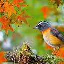 ���� ������� ���� 202, ������ - ��������� 5 �������� 2025 � ������ ���� ����������