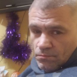 ����, �����-���������, 45 ���