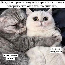  , , 52  -  10  2025