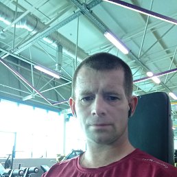 �����, 41 ���, ���������