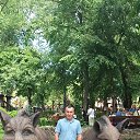 ���� ���������, ������-��-����, 52 ���� - ��������� 20 ����� 2026