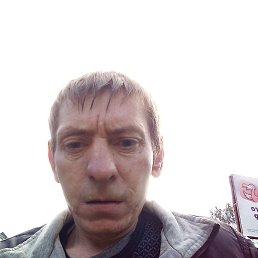 , 37, 