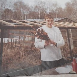 , 41, 