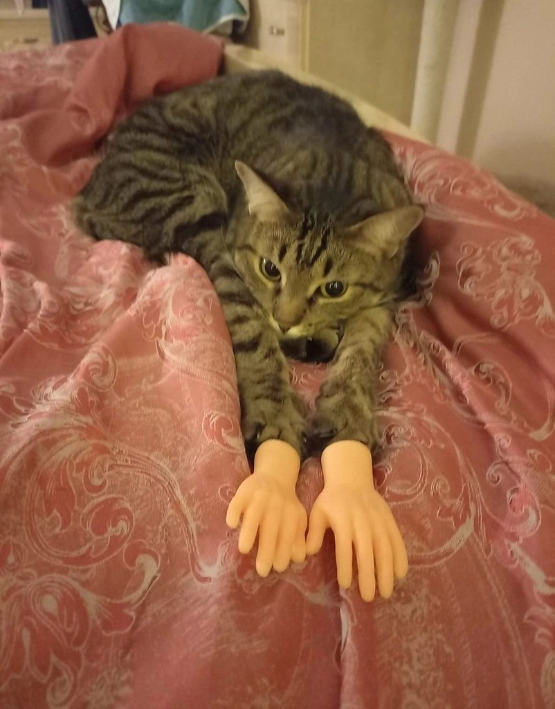 -     .   .