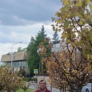 ���������, 50 ���, ������