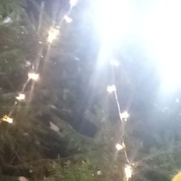 �����, �����������, 53 ����