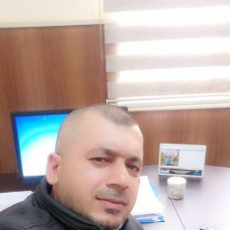 ���� Halil, ������� - ��������� 19 ��� 2026
