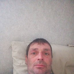 ���������, 40 ���, �����