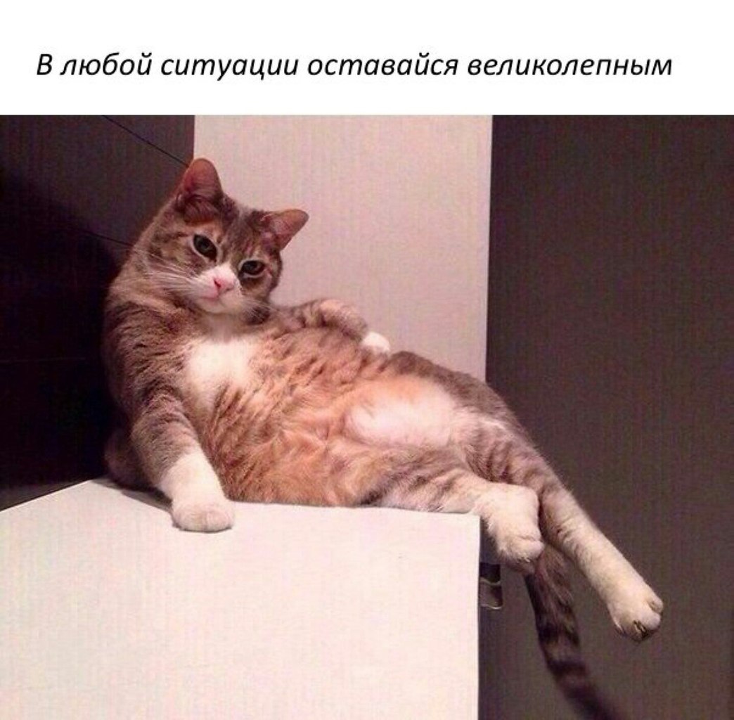   - 16  2025  16:56