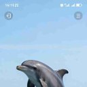 ���� ����������, ������, 49 ��� - ��������� 22 ��� 2026 � ������ ���� ����������