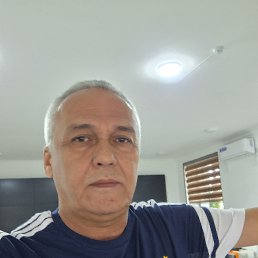 , 56, 