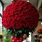 ���� Alisher, �������, 31 ��� - ��������� 30 ��� 2026