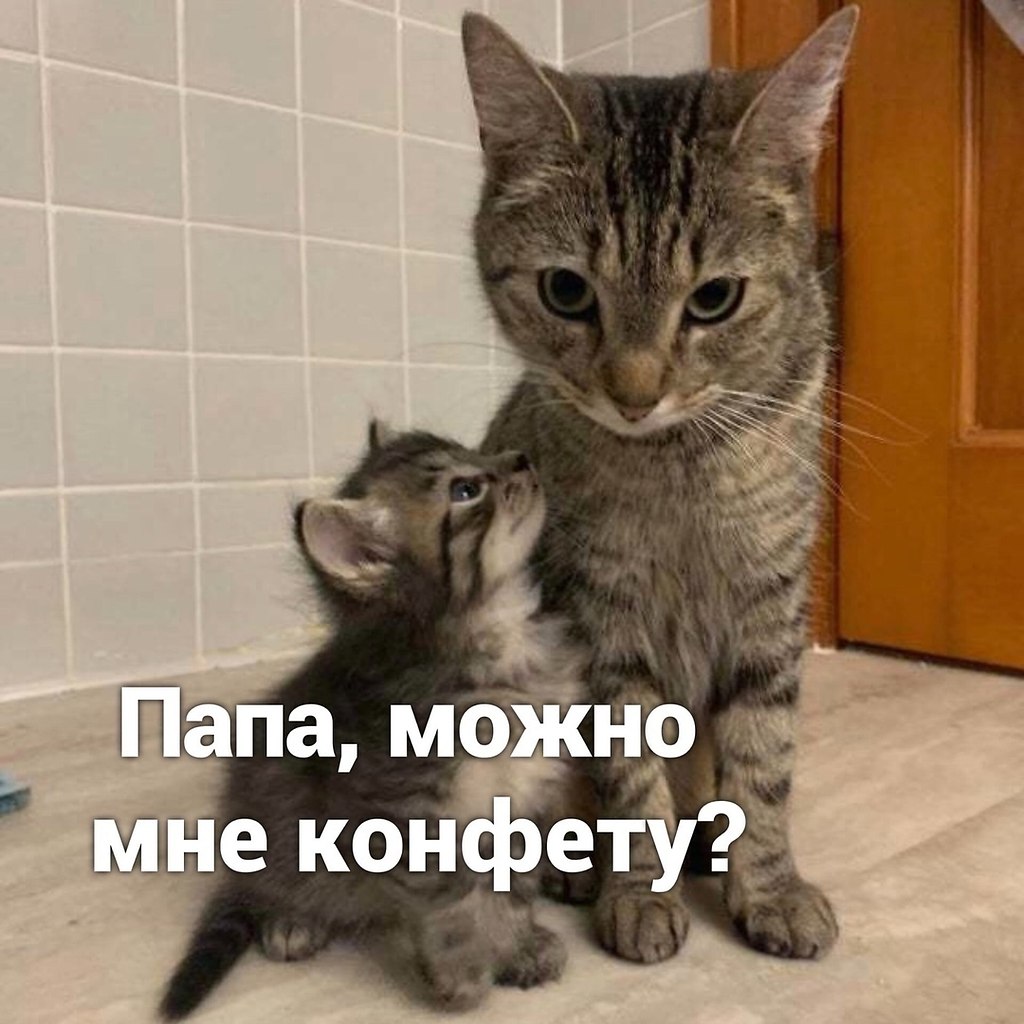   )