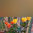  ,   -  9  2025    